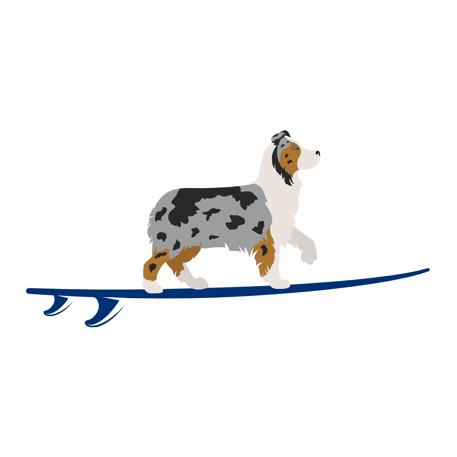 StanDog Co — Australian shepherd on a surfboard